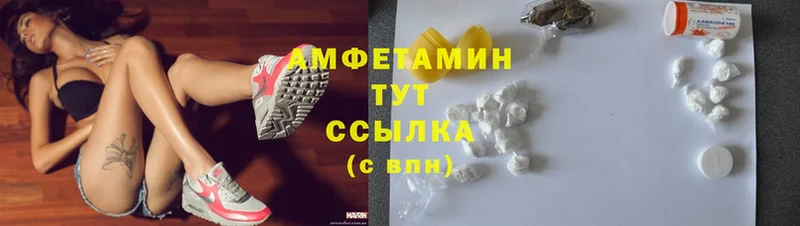 где купить наркоту  Кувшиново  Amphetamine 98% 